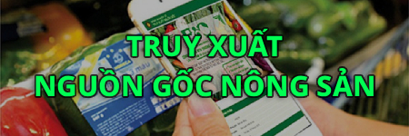 hh-17120333639111154993176 (1)