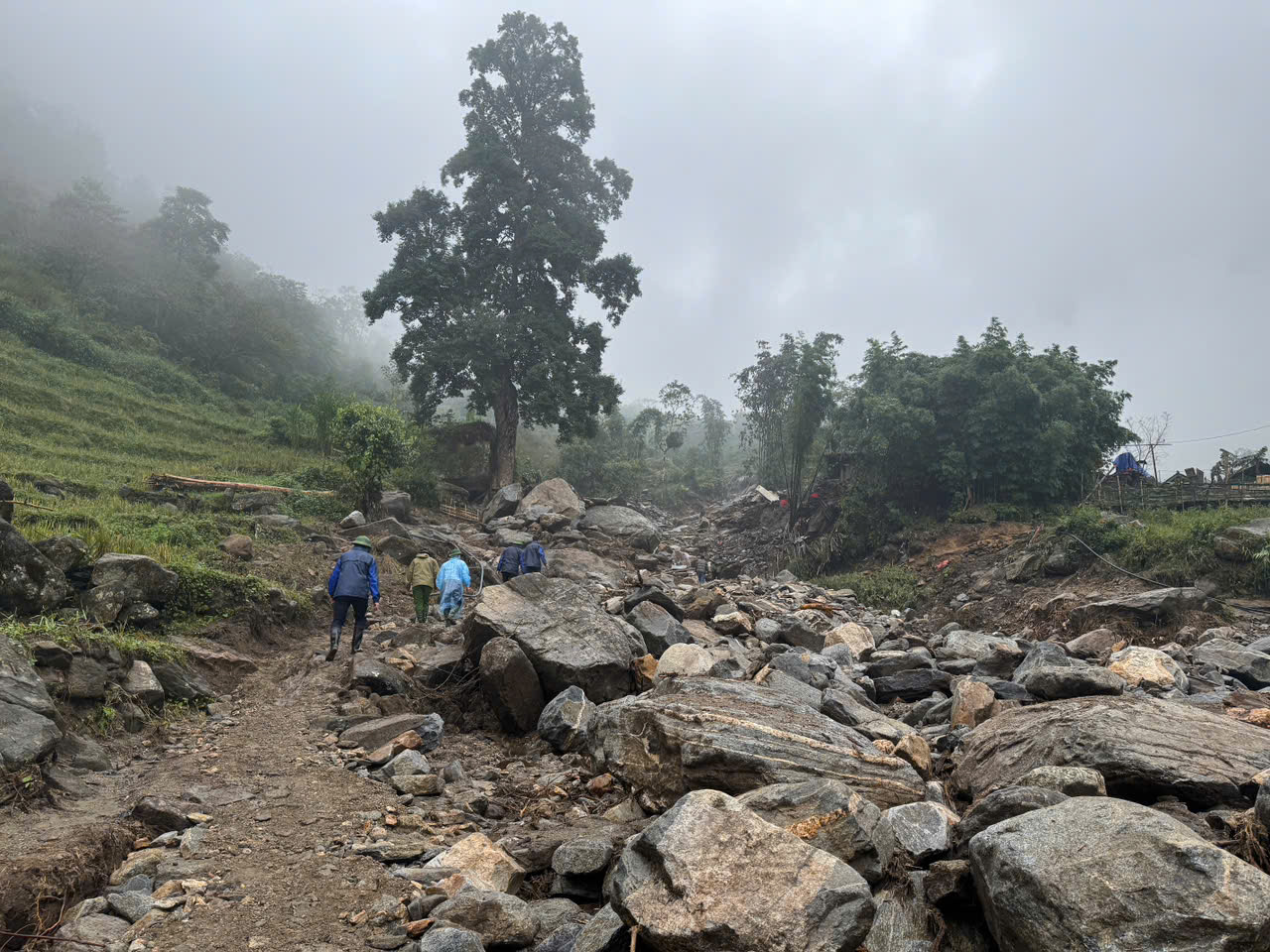 z7093817635660_1170d103a52b9f67440eeeb23528336f